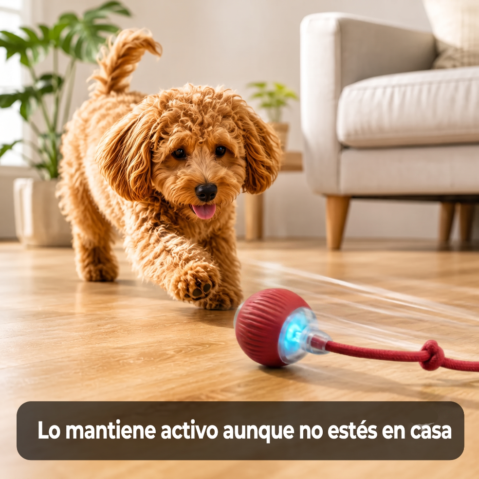 PetBall 360°: Pelota Inteligente Mascota